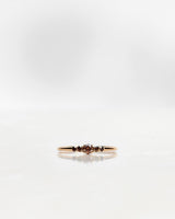 Mini Elise 18K Gold, Whitegold or Rosegold Ring w. Dark Chocolate Diamonds