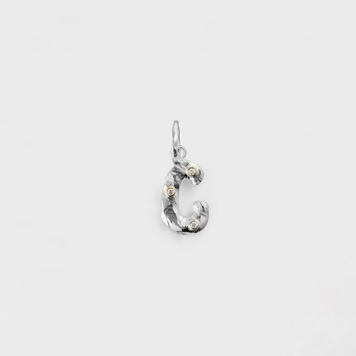 Alpha Silver & Gold Pendant w. Diamond
