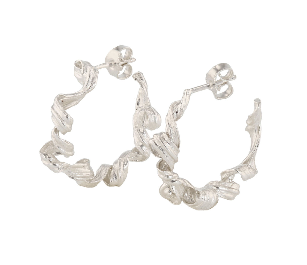 Fouettés Silver Hoops