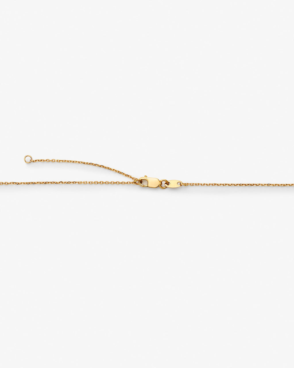 Petite Chain 14k Gold Necklace