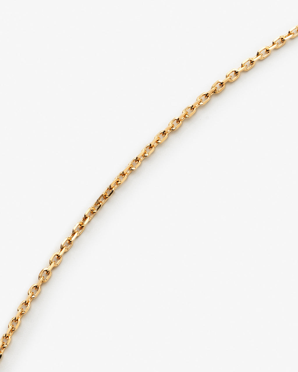 Petite Chain 14k Gold Necklace