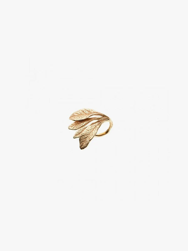 Sage 14K Guld Ring
