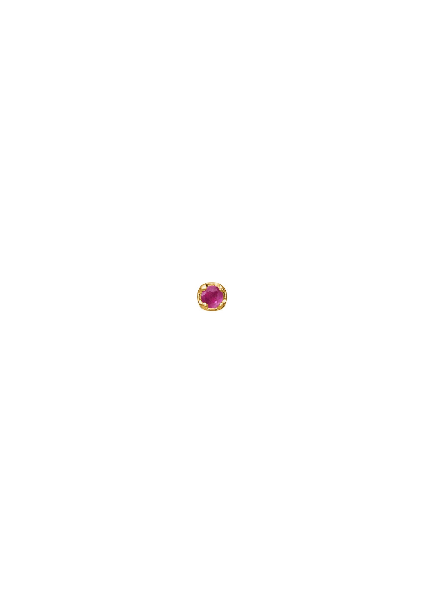 Rainbow 10K Gold Stud w. Ruby