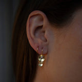 Diatom 18K & 22K Gold Earring w. Diamond