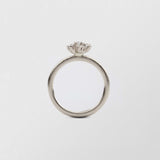 Frosty Halo 18K Whitegold Ring w. 7 Diamonds