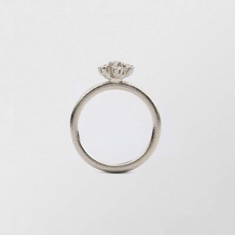 Frosty Halo 18K Whitegold Ring w. 7 Diamonds