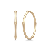 Bamboo Medium 14K Gold Hoops