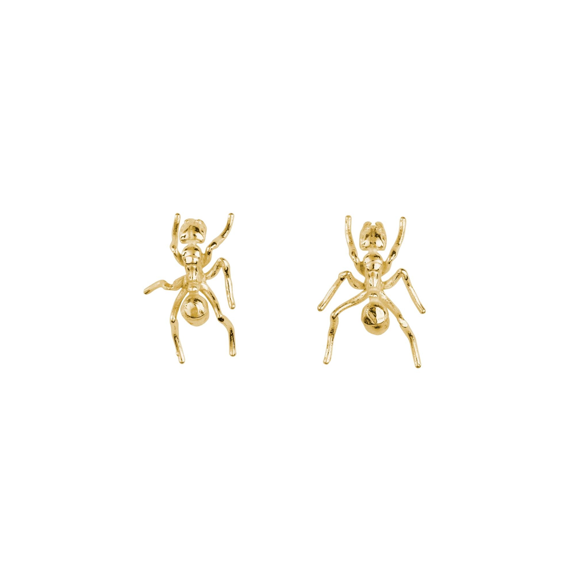 Ant Gold Plated Earrings