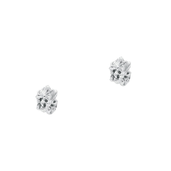 The Asteria Silver Earrings