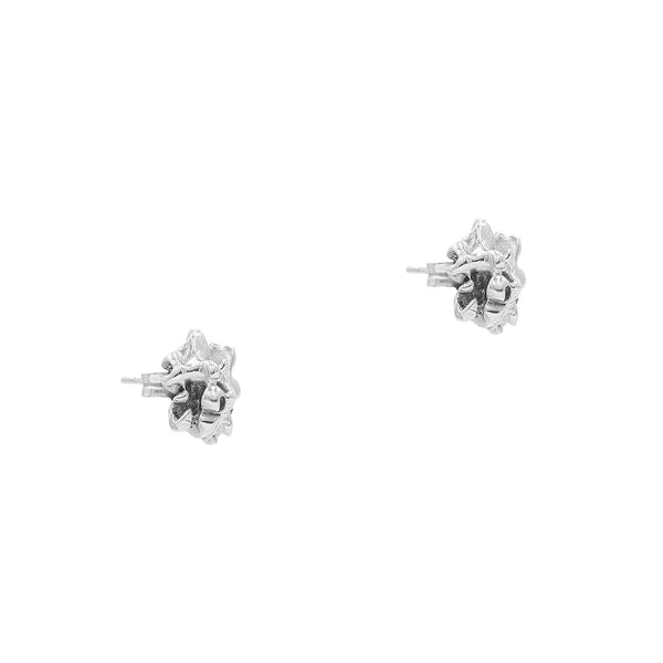 The Asteria Silver Earrings