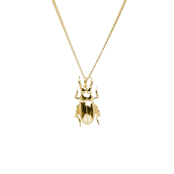 Beetle Silver Necklace