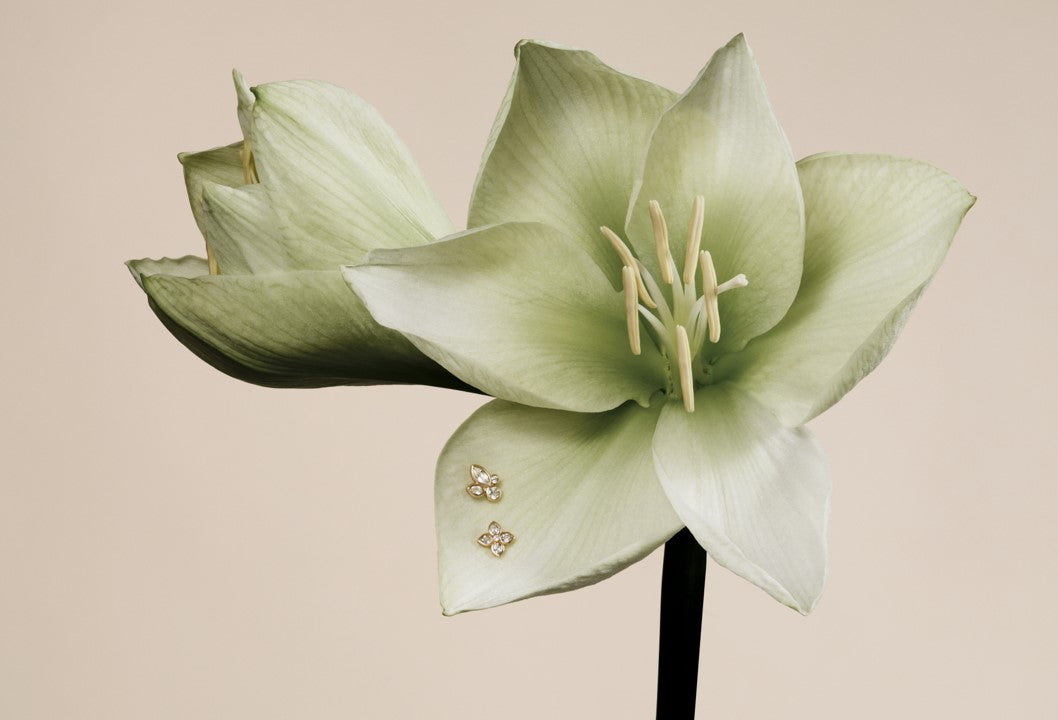 Designer Image