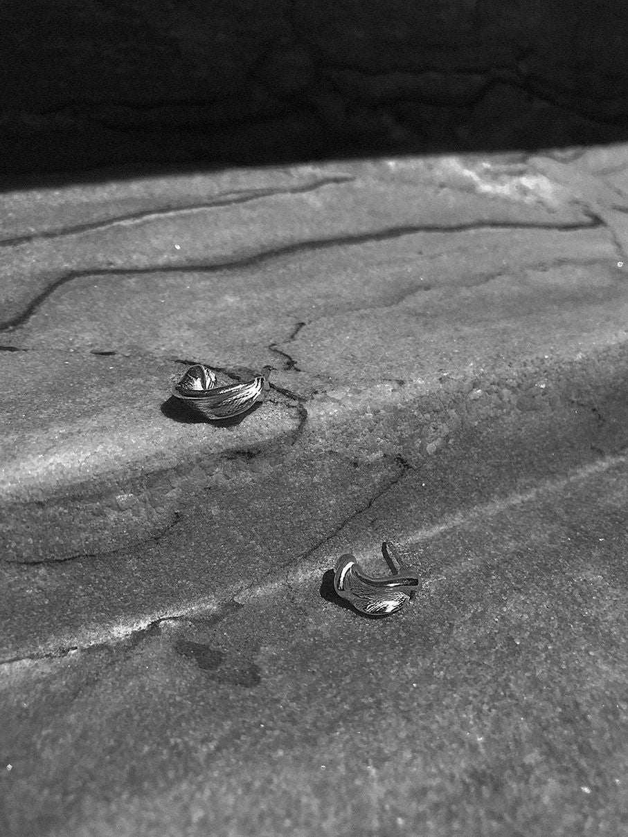 Lactuca  Silver Hoops