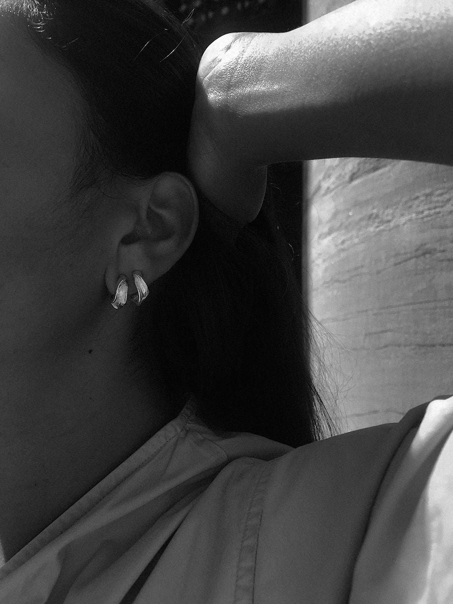 Lactuca  Silver Hoops