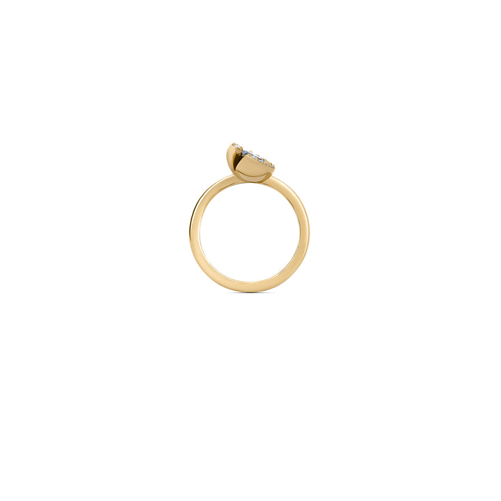 Harmony 12 14K or 18K Gold, Whitegold or Rosegold Ring w. Diamonds