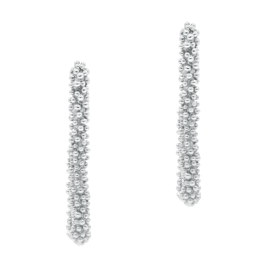The Pleioni Silver Earrings