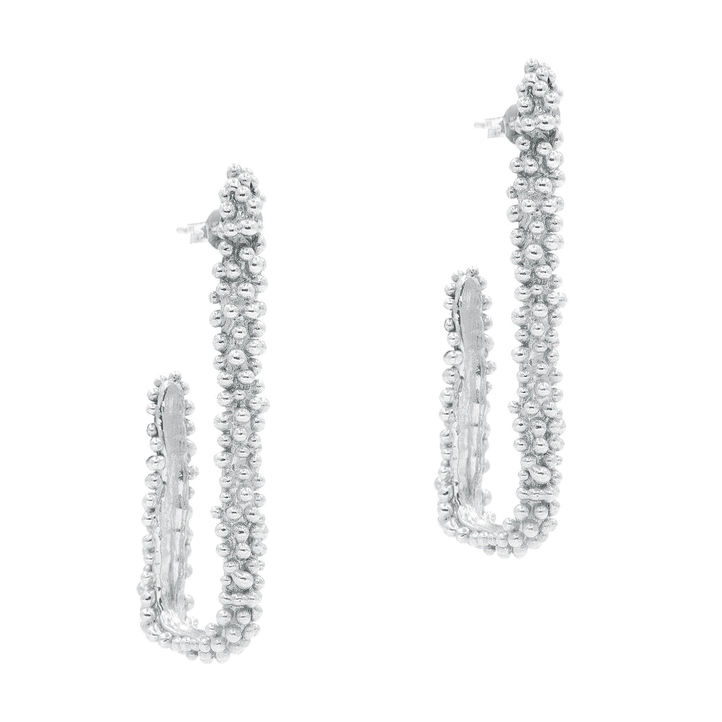 The Pleioni Silver Earrings