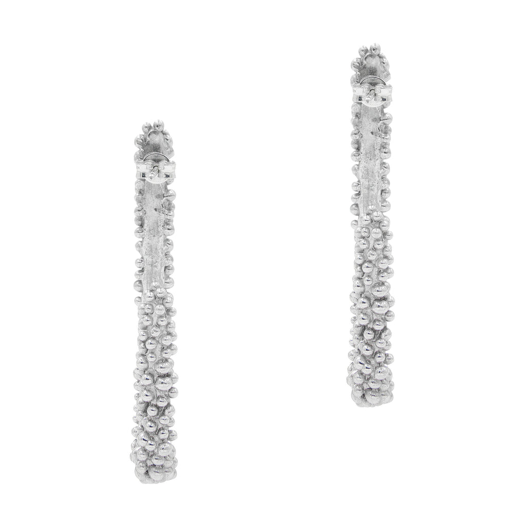 The Pleioni Silver Earrings