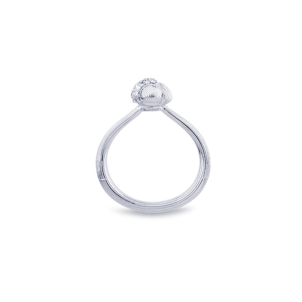 Savá 18K Whitegold Ring w. 19 Diamonds