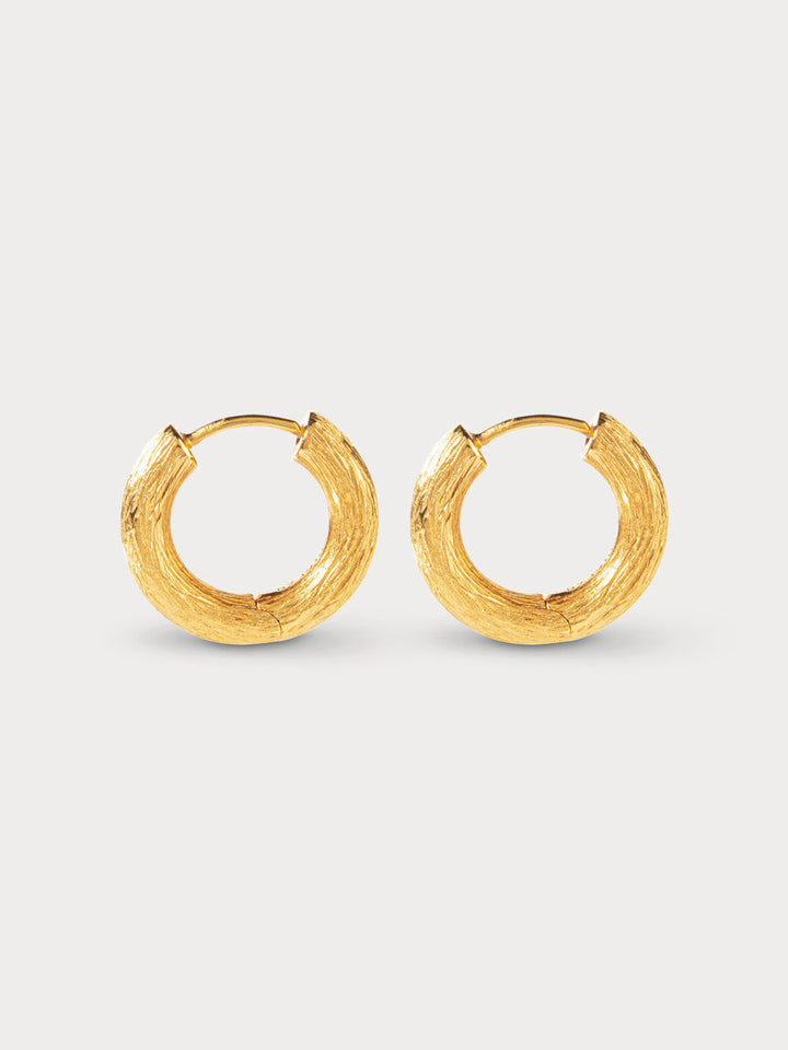 The Anna Hoops