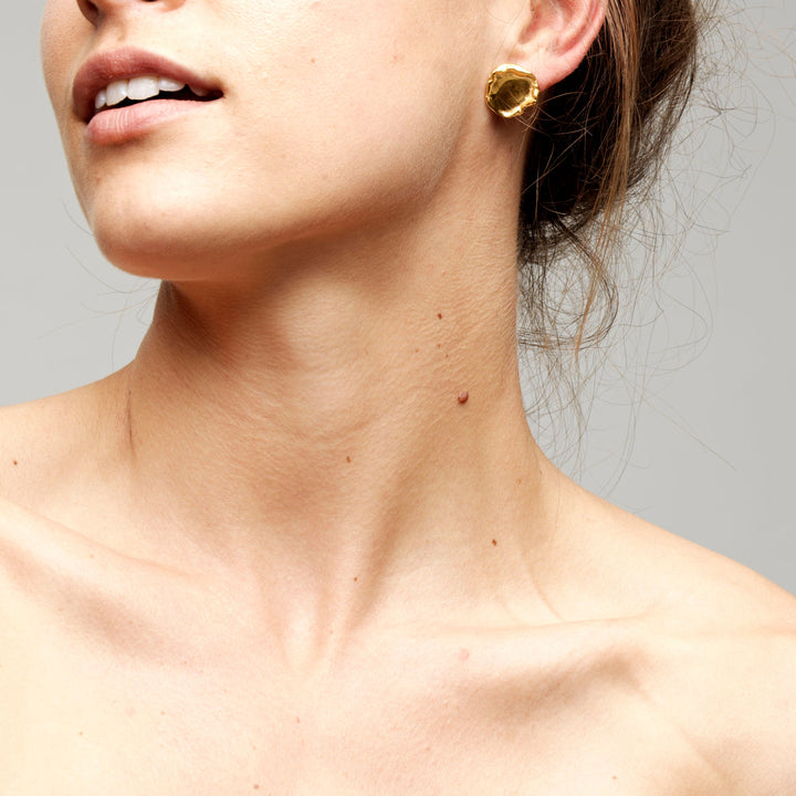 Arva Gold Plated Earrings