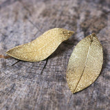 CANA Gold Plated Earrings