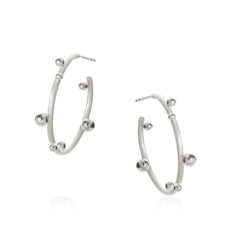 Small Delphis Silver Hoops