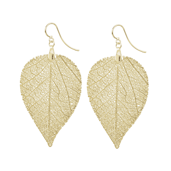 CARMO Gold Plated Earrings