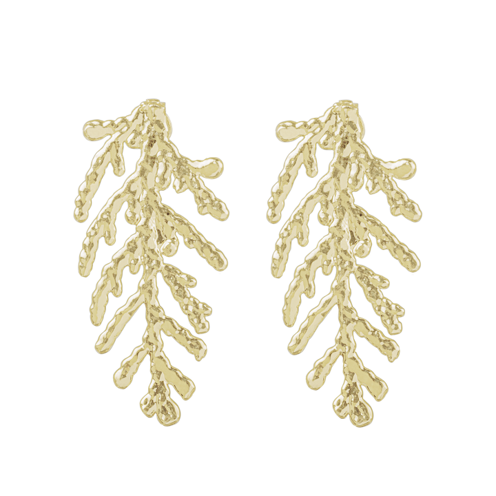 TURVO Gold Plated Earrings