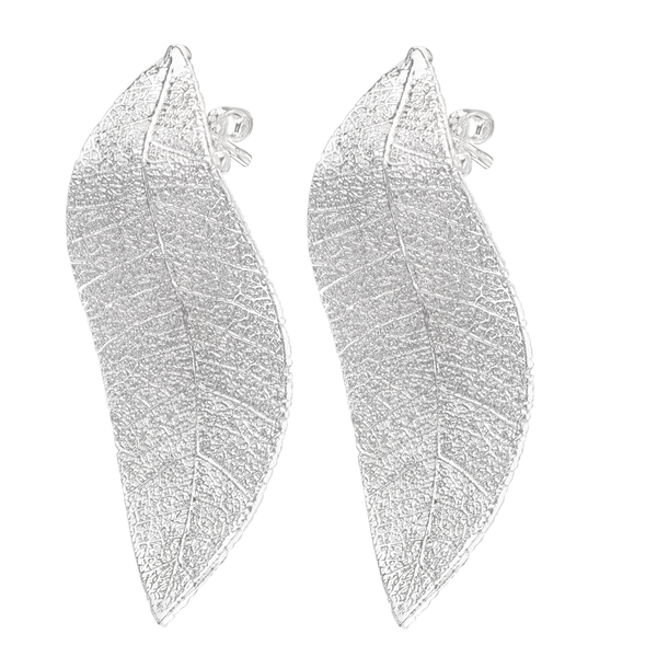 CANA White Gold Plated Earrings