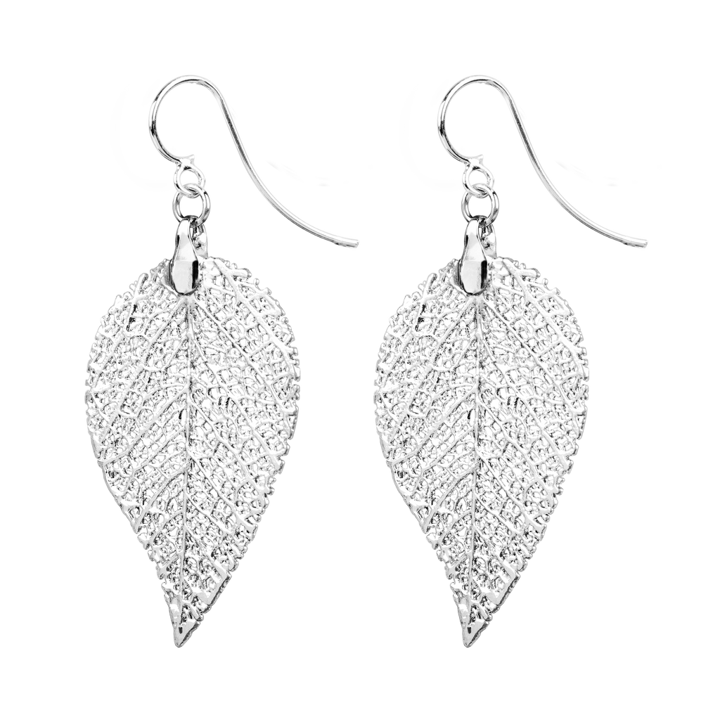 MEIA White Gold Plated Earrings