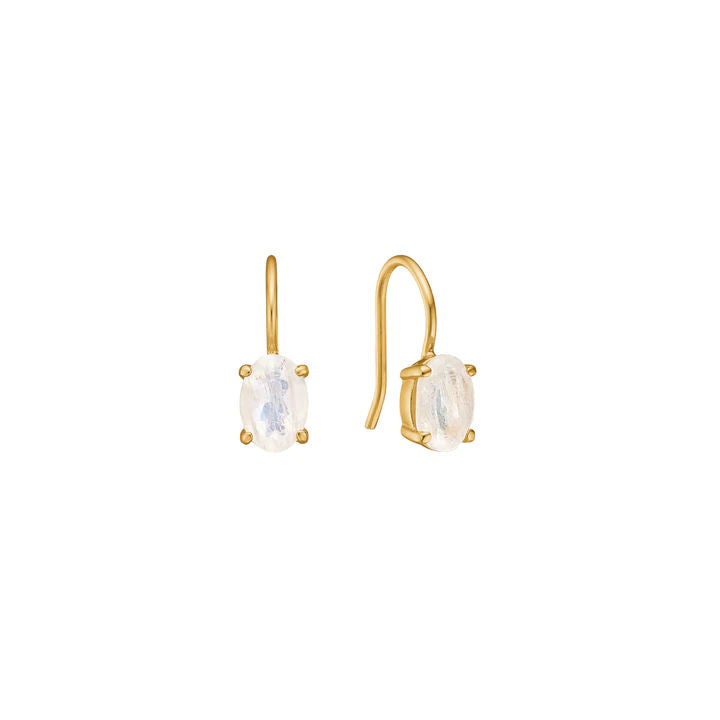 Rainbow 18K Gold Plated Earring w. Moonstone