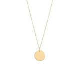 Small Disc Gold Plated Necklace