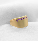 Henriette 14K Gold Ring w. Amethysts