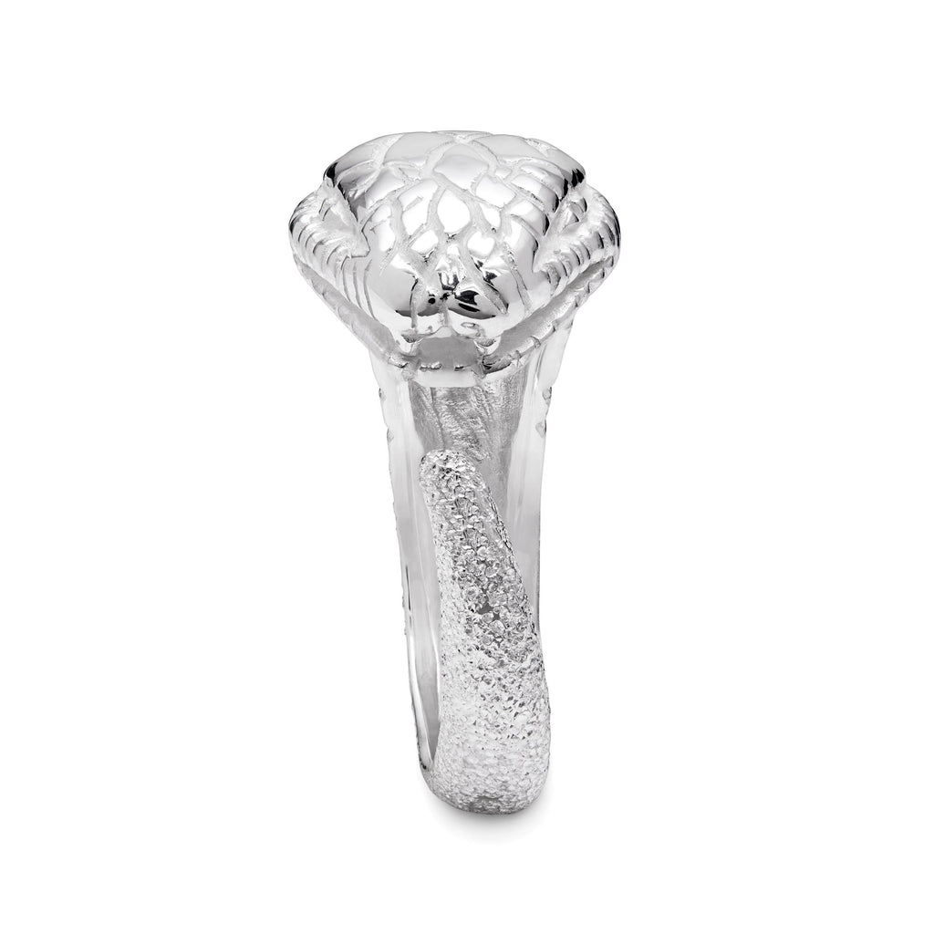 Fucine Romane | Serpente Silver Ring