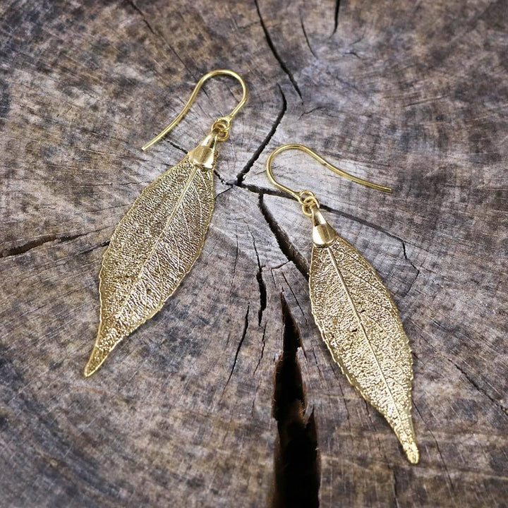 JACUBA Gold Plated Earrings