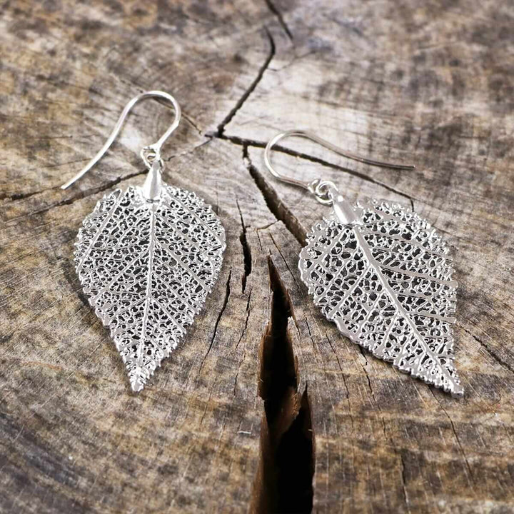 MEIA White Gold Plated Earrings