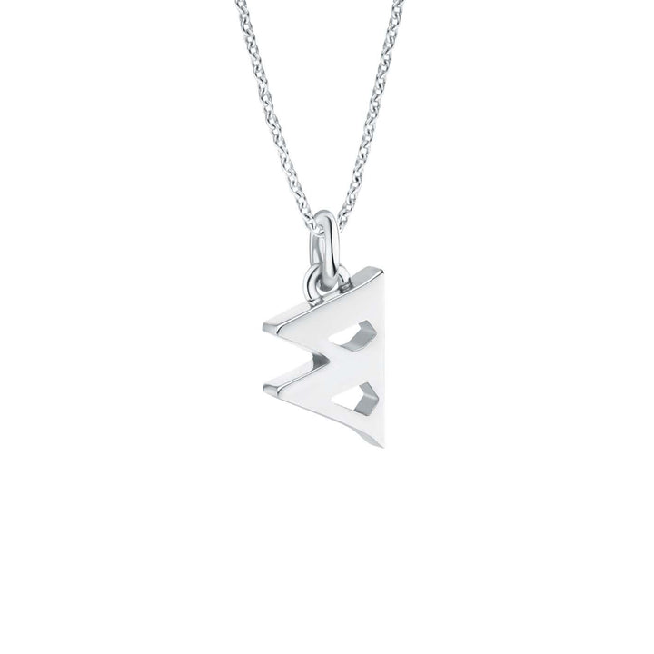 Seed w Silver Necklace