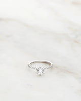 Solitaire Petite Sparkle 18K Guld, Hvidguld eller Rosaguld Ring m. Diamanter