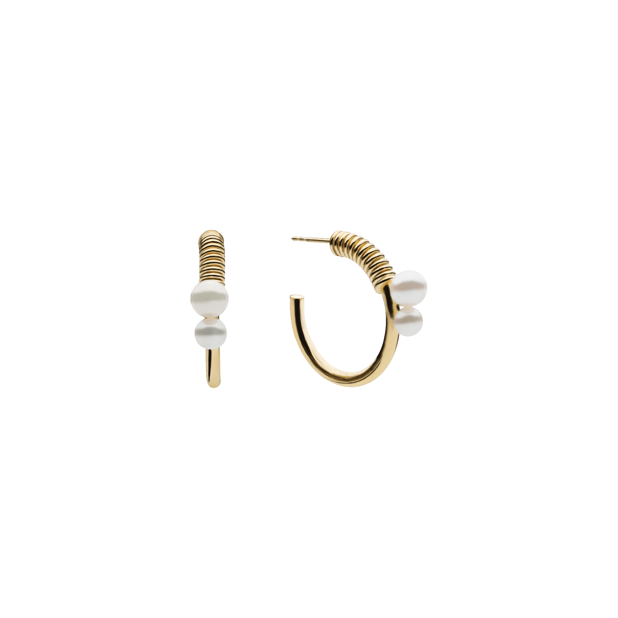 Stella Point Earrings Gold Plated