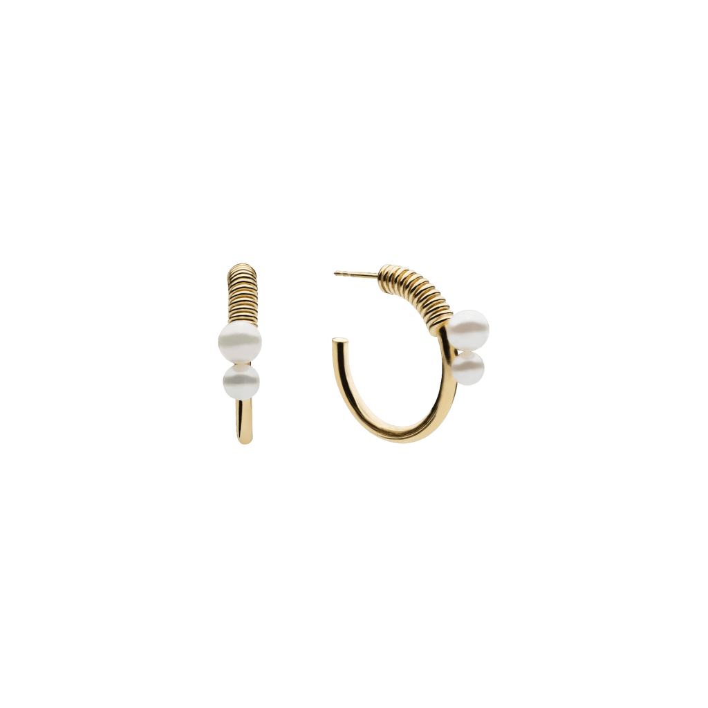 Stella Point Earrings Gold Plated