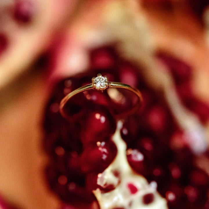 The Classic 6 Prongs - 18K Gold / 48