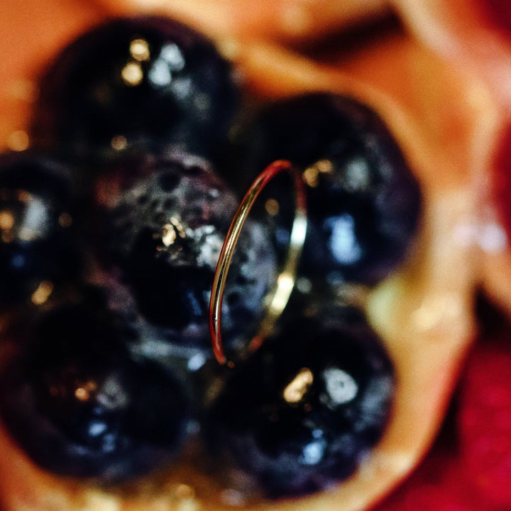 The Companion - 18K Gold / 48