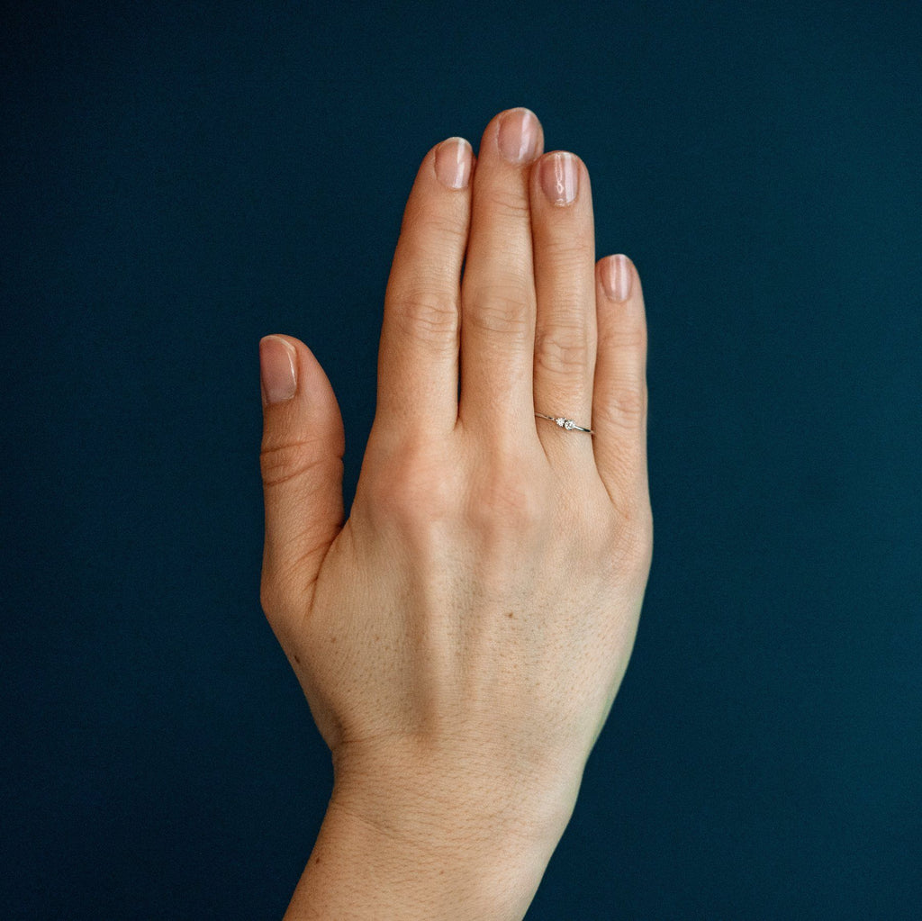 The Controversial - 18K Whitegold / 48