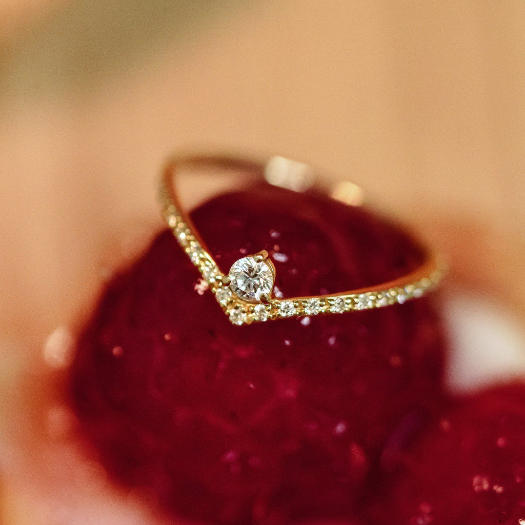 The Curved Bun - 18K Gold / 48