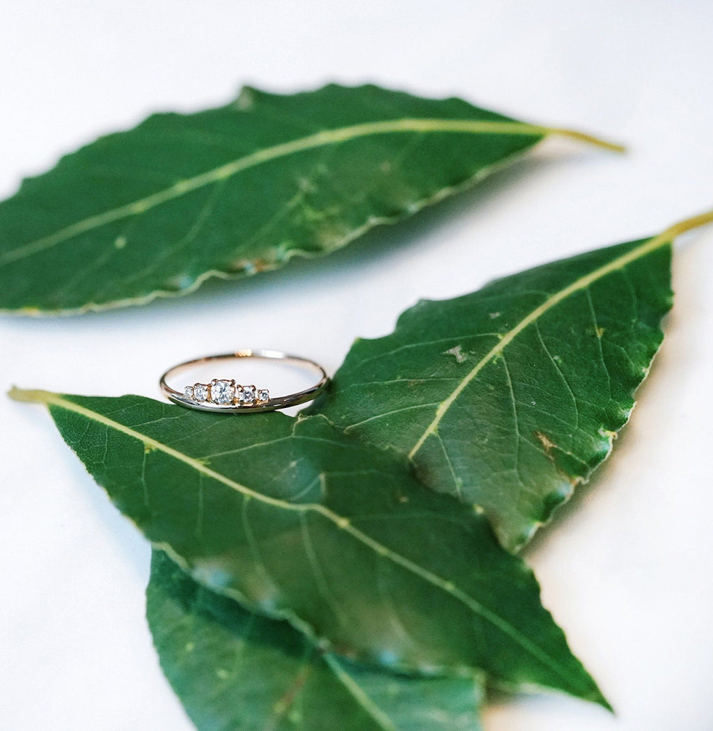 The Tiara Mini - 18K Gold / 48