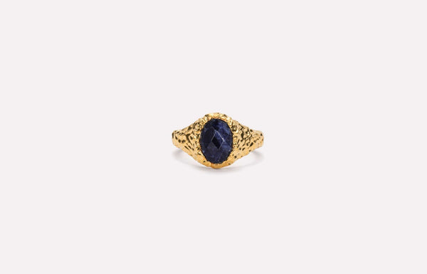 IX Crunchy Ornate Blue Sodalite Signet Gold Plated  Ring