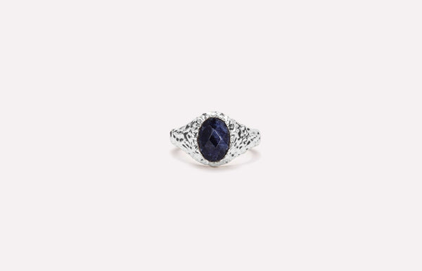 IX Crunchy Ornate Blue Sodalite Signet  Ring