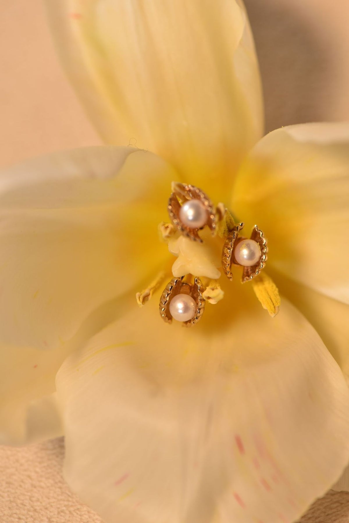 Venus Clam 18K Gold Studs w. Pearls