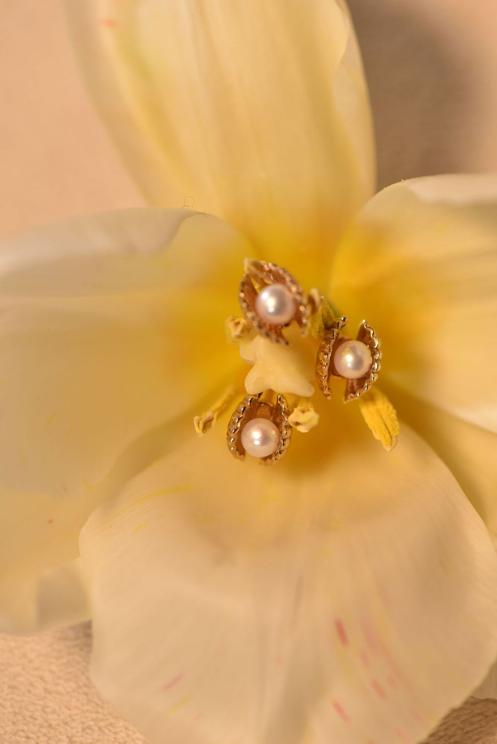 Venus Clam 18K Gold Studs w. Pearls